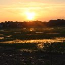 Mark Wagner - @teamw - Twitter