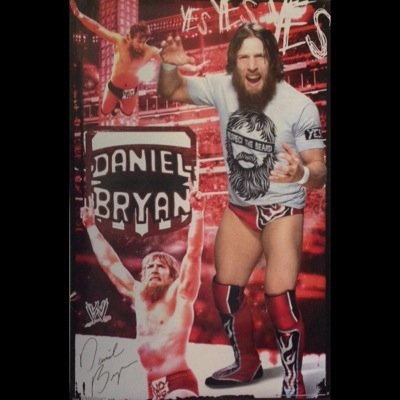 I am a huge WWE and Total Divas fan and I love Daniel Bryan and Brie Bella! #cutestcoupleever #braniel