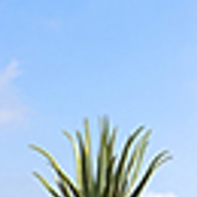 菱田晃彦 Flpのアロエベラジュースを飲んで色々な病気 糖尿 高血圧 脊柱管狭窄症 アトピー 乳ガン が改善され 元気を取り戻した人の体験話をdvdで見て アロエベラジュースの素晴らしさにとても感動しました それに信じて続けることの大切さを感じまし