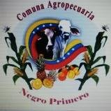COMUNA AGROPECUARIA NEGRO PRIMERO. Comuna Productiva, Ubicada en el Estado Carabobo, integrada por  cuarenta Consejos Comunales