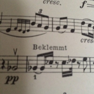 robvln's profile picture. 