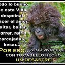 yesenia meza (@052b9050afe34c2) Twitter