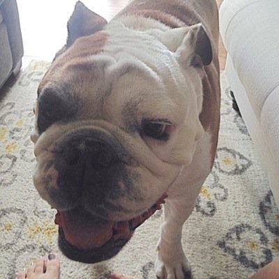 FrankyWanky1's profile picture. To swanky for my name franky