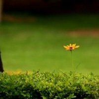 bigguy (@big1513guy) 's Twitter Profile