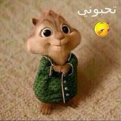ي ليتنـي جنبك وامسّح دموعك وابدّل احزانك واضمك ل صدري حسبي على منهو تسبب بـ جوعك وخلّـى عيونك تعرف الدمع بدري !