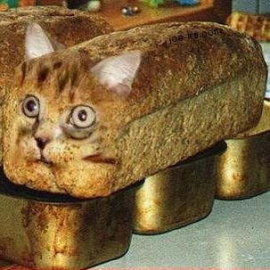 BradSchoenheide's profile picture. 