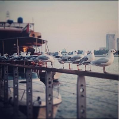 فالحياة قد لا يتحقق كل م تريد لكن  رضا الله يجعل لك الحياة كما تريد ♥!