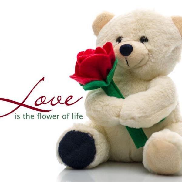 luigiwitter's profile picture. 