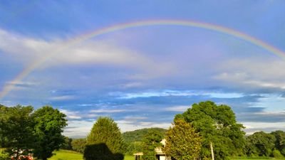 csection6's profile picture. 