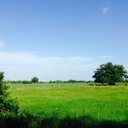 Rick Rouse - @rouseindashouse - Twitter