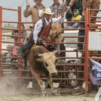 trabaja en: PBR professional bull riders
