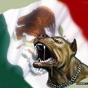 manuelferreyra (@5b0550d78893459) Twitter