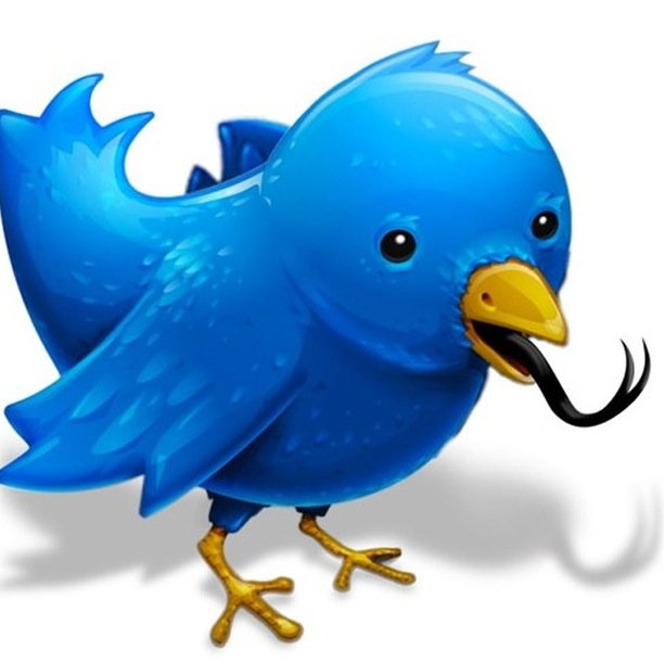 Hikingguy2013H's profile picture. Conservative and Christian.