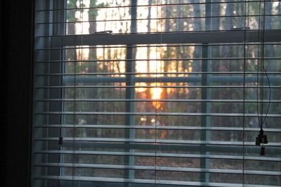 Khalaf8Sandy's profile picture. no one stays forever .. :)