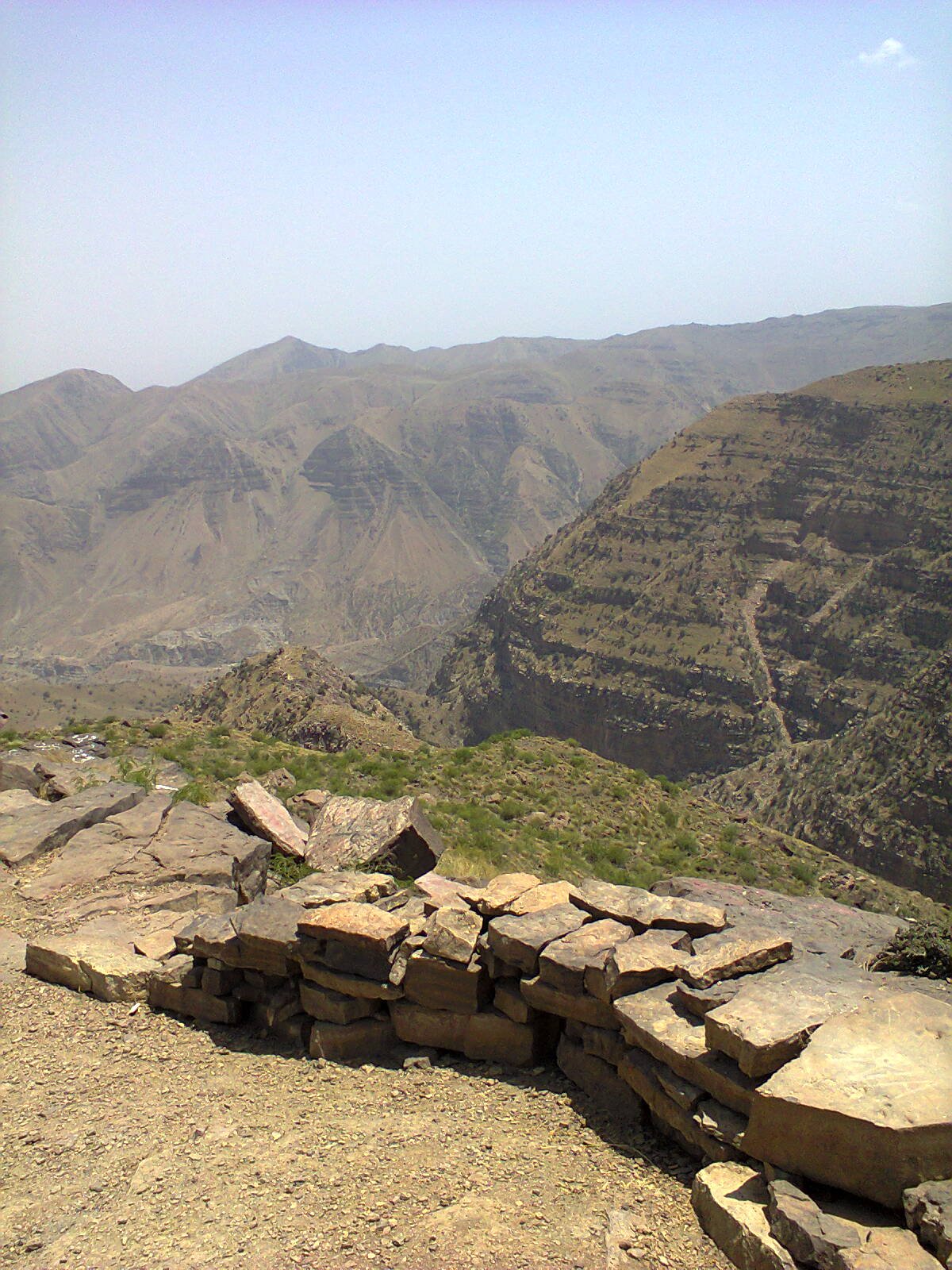 TanveerHort's profile picture. 