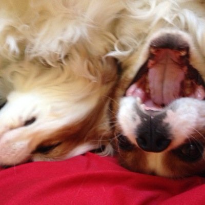 turkeysflying's profile picture. Minimalist.