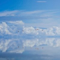 Salar de Uyuni (@uyuni_salar) 's Twitter Profile