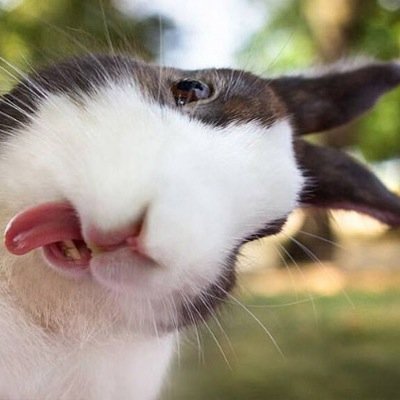 6月〜10月までは休業させて頂いております。Четыре Северных острова - исконные территории Японии.FJクルーザー
