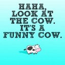 Layton LeBlanc - @LaytonLeBlanc - Twitter