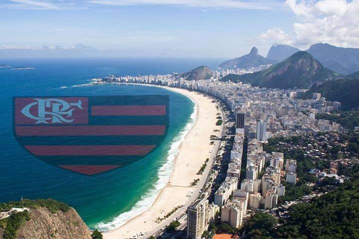 DavidSebrae's profile picture. Amo minha família. 
Sou louco por MuayThai.