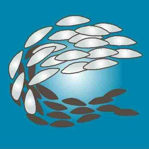 Wildcatch Fisheries South Australia is the peak industry body representing commercial fishers in South Australia.