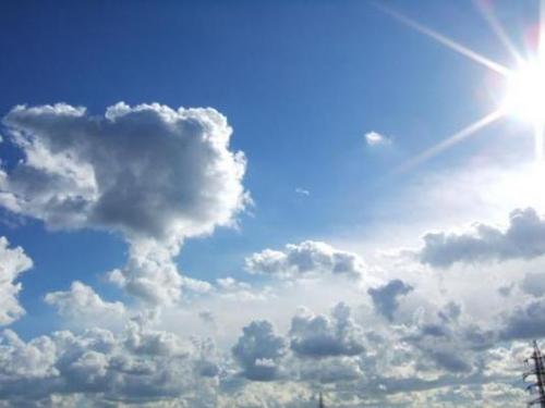 water_flea's profile picture. 高専生。バイオテクノロジー専攻。趣味は読書、絵画・映画・音楽の観賞。