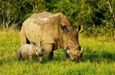 wmayavi's profile picture. 