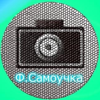 Хотите поделиться своей фотографией? Тогда отправляйте на почту    P.autodidact@gmail.com