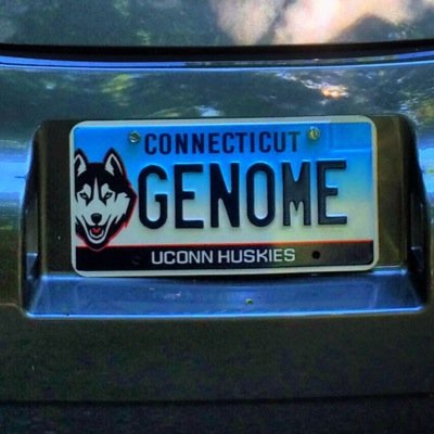 Chair and Professor of Genetics and Genome Sciences at UConn Health. We study RNA biology and CRISPR systems using biochemistry, genomics, and bioinformatics.