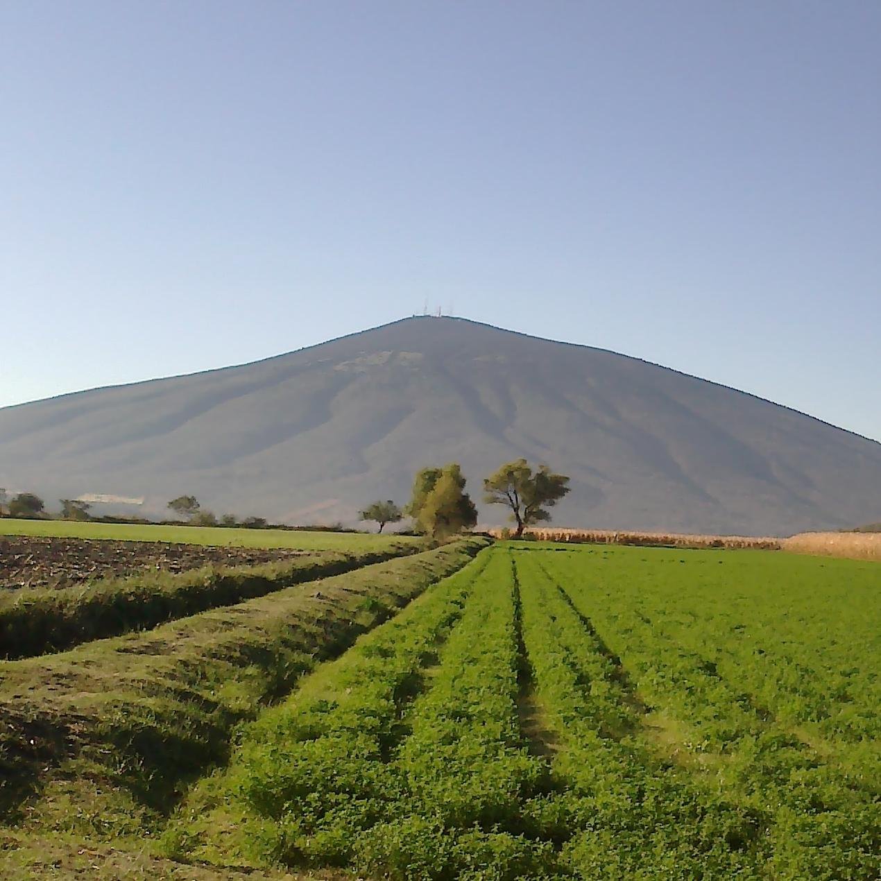 antoniolz's profile picture. Chilango, celayense, cortazarense, chairo, felizmente casado, family man, freudiano, juarista, seguidor del Cruz Azul...