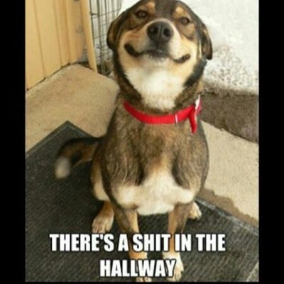 Dan_Evans_FANCY's profile picture. 