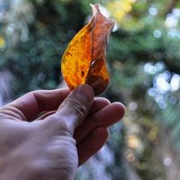 Sung Kyu  Kim (@sun9kyu) 's Twitter Profile