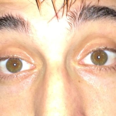 Freeddo90's profile picture. 