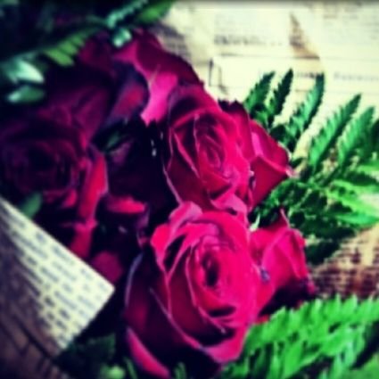 SaAlfalah's profile picture. 