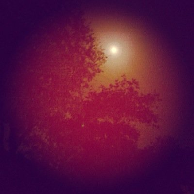 JCNUGG's profile picture. 