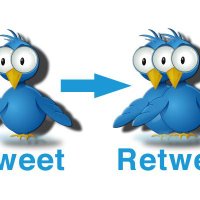 Official Paki RT  (@officialpakirt) 's Twitter Profile