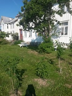 Litt morsom og glad i sine barnebarn