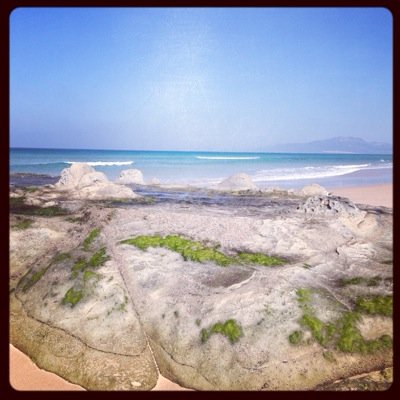 coba1976's profile picture. no seas tan humilde que no eres tan grande