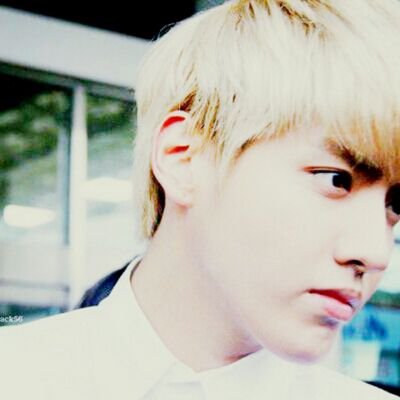 Be Your Kris | ผู้ ช า ย ข อ ง คุ ณ | ค่ายโซเดท |
