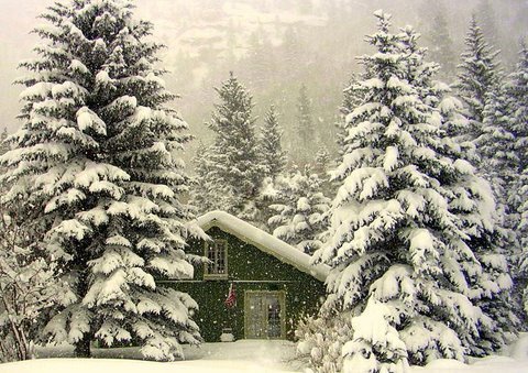 My profile pic is my home in CO. I'm a writer, photographer, live year round in a mtn village of 92 pp at 7500', love my family and helping do good.