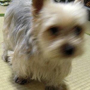 Hiroki Yoshidaさんのプロフィール画像