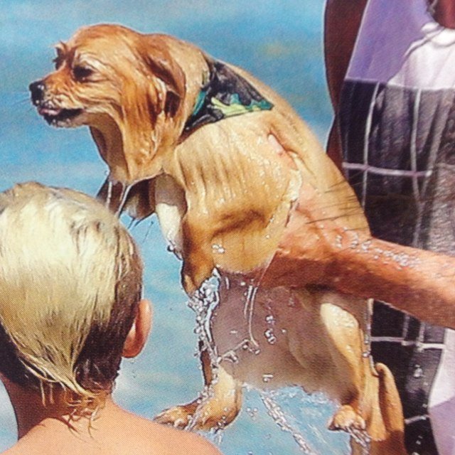 Snakesmacrame's profile picture. 