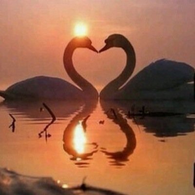 life is a journey so enjoy each moment.
here&now