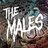 THEMALESBAND's profile image
