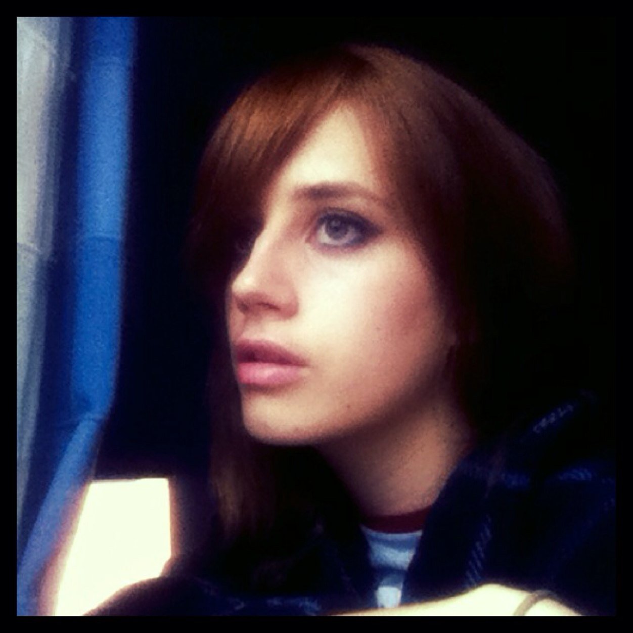 Bewildered in Wilderness 🌻