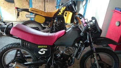 MariannevdWeide's profile picture. 