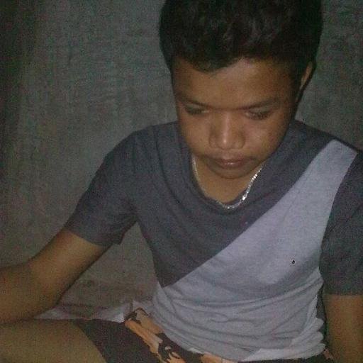 Pu Ding