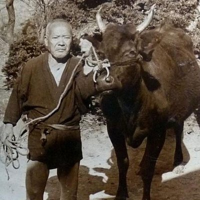 黒毛種雄牛bot Wagyu Japanese Twitter 黒毛種雄牛bot Wagyu Japanese Twitter