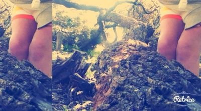 youjellyyet123's profile picture. your so jelly of me! (\(♡_♥)/)