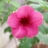 busabap's profile image